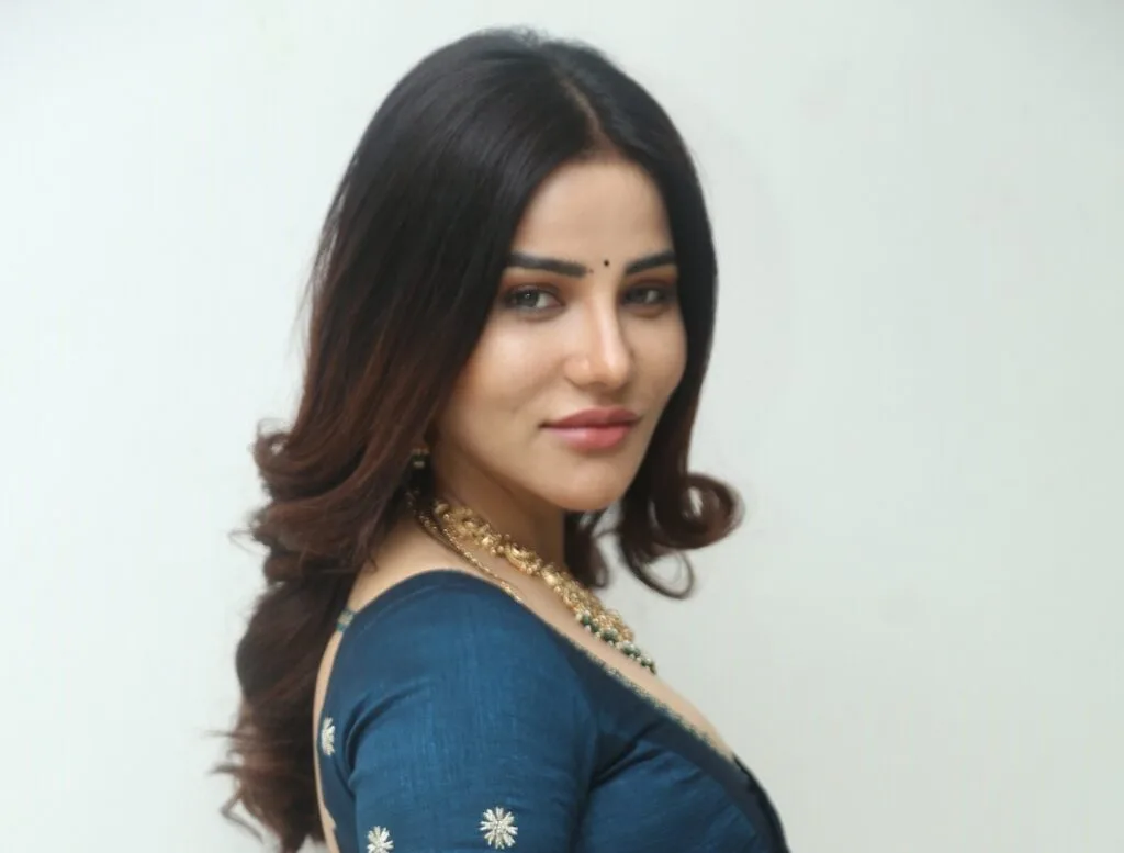 Krisheka Patel Glam Photos
