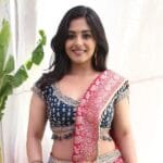 Nayanasarika New Photos
