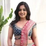 Nayanasarika New Photos