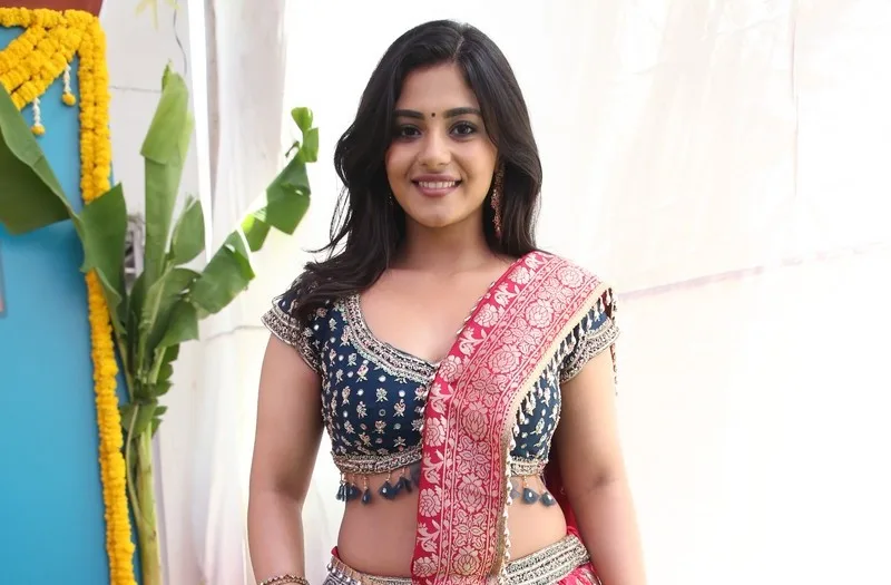 Nayanasarika New Photos